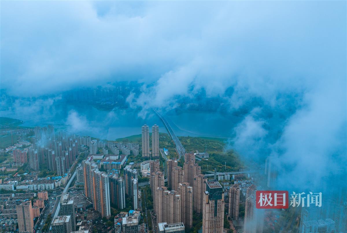 宝马 网址